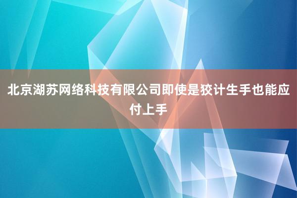 北京湖苏网络科技有限公司即使是狡计生手也能应付上手